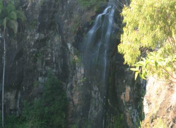Cameron Falls was a light-flowing waterfall that didn't seem to have a whole lot of life left in it during our visit to Tamborine Mountain (in the Gold Coast Hinterland) in May 2008.  Our visit...