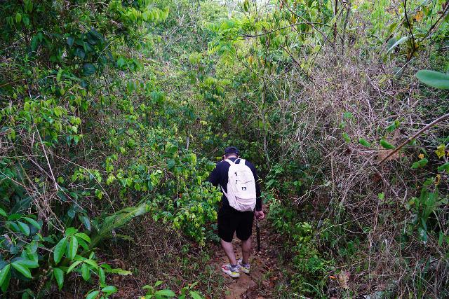 Canon_de_San_Cristobal_014_04202022 - Ricardo guiding me deeper into the thick jungle as we descended into the Cañon de San Cristóbal