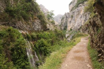 The waterfalls of the Cares Gorge page was basically my excuse to talk about the famous hike that quite possibly was the quintessential Picos de Europa experience.  But it turned out that there was...
