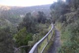 Carisbrook_Falls_17_010_11182017 - The Carisbrook Falls Track with railings to assure me that I wouldn't get into the dropoff as I was climbing