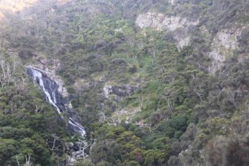 Carisbrook Falls was probably one of the few waterfalls that we could quite seriously say was literally on the Great Ocean Road.  Most of the rest of the waterfalls required some bit of a drive...