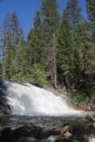 Carlon_Falls_17_072_06172017 - Contextual look at the Carlon Falls and afternoon rainbow backed by tall pine trees during our June 2017 visit