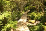 Cascada_de_Gerber_009_06182015 - The trail to Cascada de Gerber started off as a boardwalk