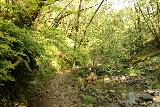 Cascade_Falls_031_04192019 - The trail following along Cascade Creek