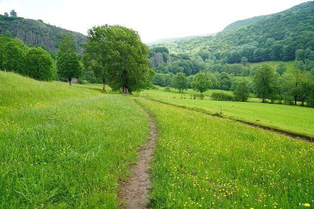 Cascade_de_Faillitoux_032_06082025 - Descending on the path from the trailhead leading down to its convergence with a wider tractor trail eventually leading to the Cascade du Faillitoux
