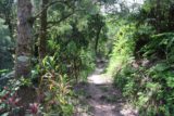 Cascade_de_Tao_025_11252015 - The start of the bush trail to Cascade de Tao