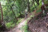 Cascade_de_Tao_054_11252015 - The Cascade de Tao Trail remained pretty well-defined this far into the hike