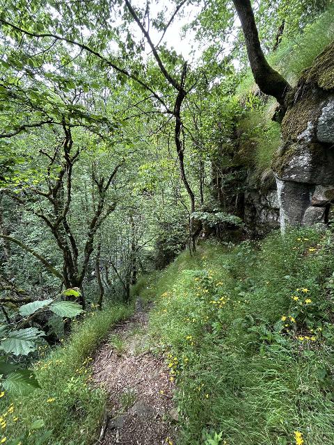 Cascade_du_Sartre_011_iPhone_14_06082025 - Context of the narrow and steep risk-filled scrambling path to access the base of the Cascade du Sartre