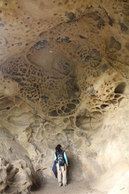 Castle_Rock_112_05192016 - Mom inside one of the larger alcoves of Castle Rock, which featured some alien-like patterns. Castle Rock State Park was not far from San Jose and Morgan Hill