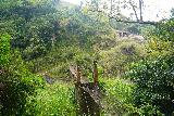 Charco_La_Guitarra_017_04192022 - Looking directly across the rusted suspension bridge traversing the Rio Bauta