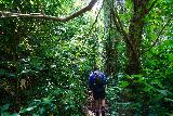 Charco_Prieto_075_04162022 - Jesús traversing through more lush jungle scenery on the way to Charco Prieto
