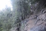 Chilnualna_Falls_17_042_06172017 - Mom on the narrow trail hooking up the First Chilnualna Falls with the junction with the stock trail