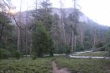 Chilnualna_Falls_17_096_06172017 - Looking back at the Wawona Dome from the low-lying shrubs section of the Chilnualna Falls Trail just as the sun was starting to breach the cliffs