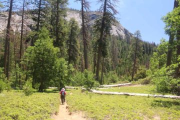 Chilnualna_Falls_17_355_06172017