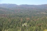 Chilnualna_Falls_17_363_06172017 - Looking down towards Wawona and the surrounding forest on our return hike in June 2017. I couldn't help but notice how many brown trees (dead from bark beetles), which are likely to become tinder for the next big forest fire and likely an unintended effect from man-made Climate Change