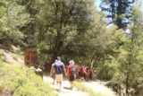 Chilnualna_Falls_17_365_06172017 - A gathering of people at the junction of the stock trail with the detour leading to the 1st Chilnualna Falls
