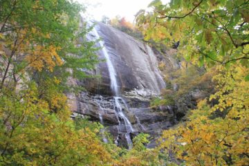 Hickory Nut Falls was our waterfalling excuse to visit Chimney Rock, which was a 315ft granite rock that offered us gorgeous sweeping views of Lake Lure and the Hickory Nut Gorge. The rather light-...
