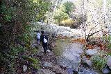 Chiquito_Falls_123_12312021 - The San Juan Loop Trail skirting what I believe is the San Juan Creek