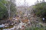 Chiquito_Falls_418_12312021 - Context of Konnor on the San Juan Loop Trail skirting alongside the San Juan Creek