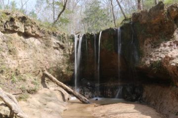 The Clark Creek Waterfalls (also referred to as Tunica Falls in Google Maps) were a series of several waterfalls residing within the Clark Creek Natural Area within Mississippi near its border with...