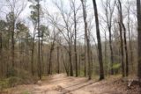 Clark_Creek_NA_074_03152016 - Flanked by a lot of bare trees in the Clark Creek Natural Area