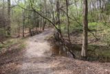 Clark_Creek_NA_091_03152016 - While continuing on the Clark Creek Waterfall Trail beyond the junction for the second waterfall, I encountered some parts that still had puddles from the heavy rains that hit most of the state of Louisiana as well as parts of Mississippi