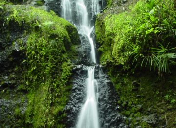 Waisila Falls is a small 15m waterfall deep in the Colo-i-Suva Forest Park on the northern outskirts of the capital city of Suva. You can walk to it either from...