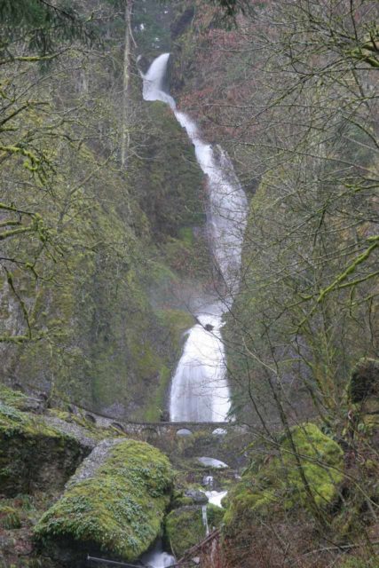 Columbia_River_Gorge_068_03282009