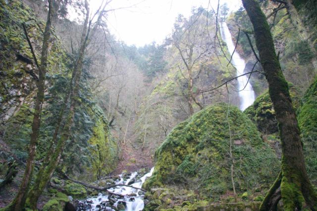 Columbia_River_Gorge_110_03292009 - Starvation Creek Falls