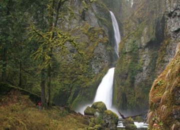 Wahclella Falls (also known as Tanner Creek Falls) is one of the relatively lesser known waterfalls in the Columbia River Gorge.  To get to it, you have to do a roughly 2-mile...