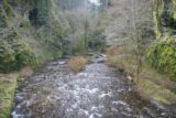 Columbia_River_Gorge_363_03302009