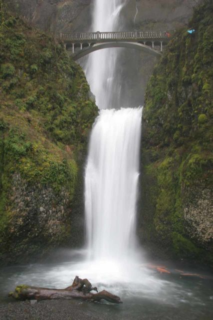 Columbia_River_Gorge_413_03302009