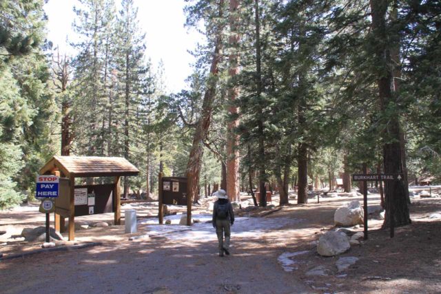 Cooper_Canyon_13_014_03172013 - Julie entering the Buckhorn Campground, which was quite empty and serene when we showed up early in the season to pursue Cooper Canyon Falls