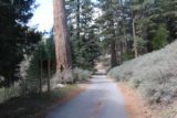Cooper_Canyon_Falls_001_05012016 - Looking back at the spur road leading from the Buckhorn Campground to the Cooper Canyon Falls Day Use Trailhead during our May 2016 visit. This photo and the next several shots came on this day
