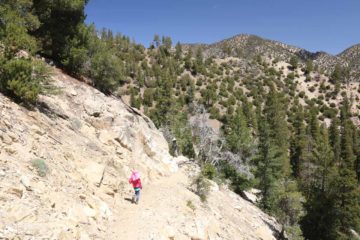 Cooper_Canyon_Falls_037_05012016