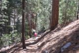 Cooper_Canyon_Falls_060_05012016 - Beyond the Buckhorn Creek crossing, Julie and Tahia headed closer to the junction with the Pacific Crest Trail as seen during our May 2016 visit