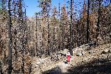 Cooper_Canyon_Falls_and_Buckhorn_Falls_051_03272022 - Julie and Tahia walking continuing the descent along the Burkhart Trail through more burned forest before joining up with the Pacific Crest Trail (PCT) during our late March 2022 visit