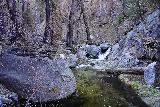 Cooper_Canyon_Falls_and_Buckhorn_Falls_092_03272022 - Looking towards another cascade obstacle within Buckhorn Canyon en route to Buckhorn Falls