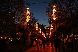 Copenhagen_245_07272019 - Atmospheric lit up walk near the Taj Mahal in the Tivoli Gardens in Copenhagen