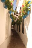 Cordoba_244_05312015 - An attractive rose-lined alleyway in La Juderia of Cordoba