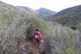 Cottonwood_Creek_Falls_021_01232016 - Julie following the faint trail through the thick prickly brush on the initial descent en route to Cottonwood Creek Falls