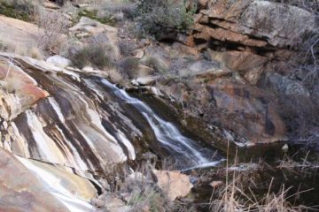 Cottonwood Creek Falls was a series of small waterfalls hidden away in the desert-like terrain near Pine Valley well downslope of Mt Laguna.  While you may look at the photo at the top of this page...