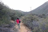 Cottonwood_Creek_Falls_097_01232016 - Now we were climbing back towards the Sunrise Highway while following the Power Pylon trail