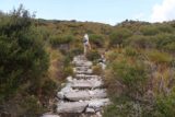 Crater_Falls_17_103_11292017 - The Overland Track continued its persistent climb as we left the buttongrass behind and the vegetation turned to bushlands en route to Crater Falls in late November 2017