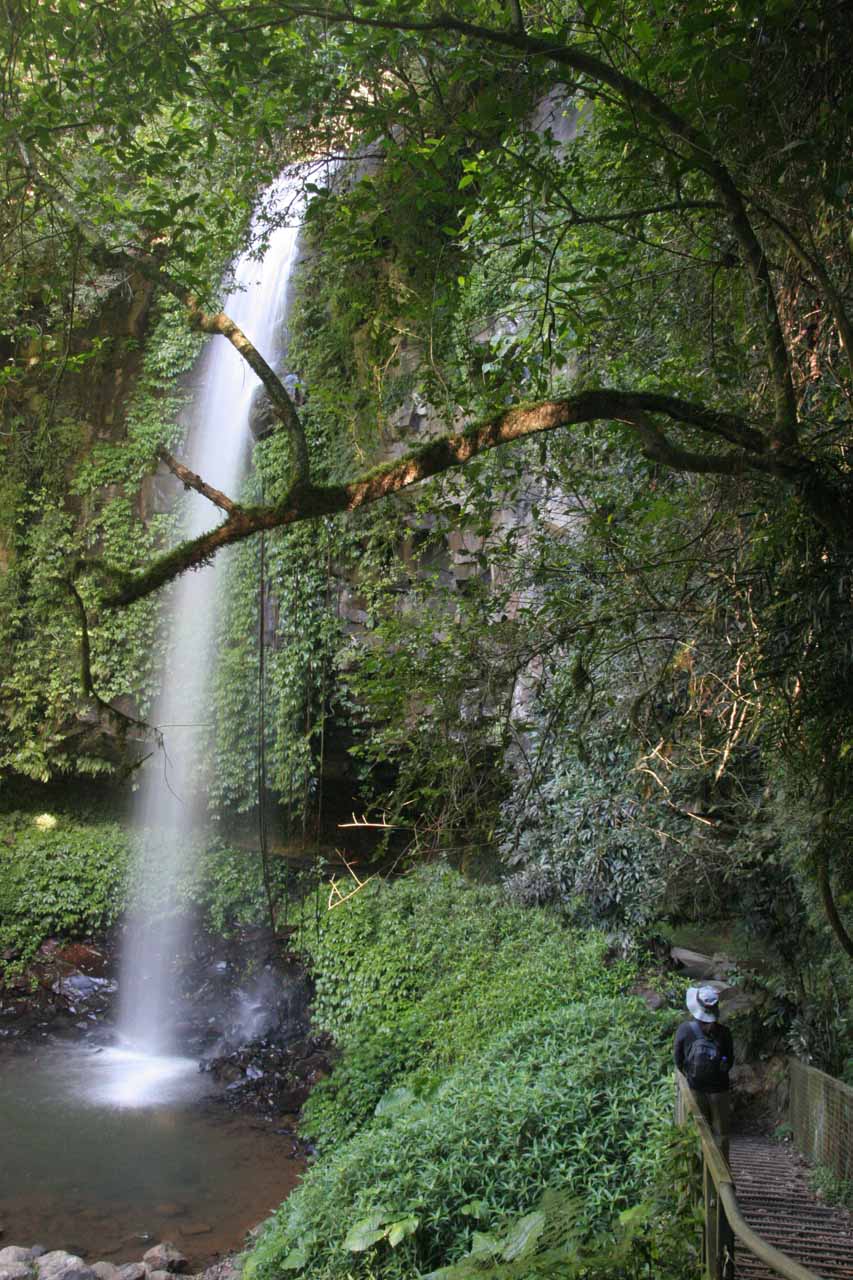Crystal Shower Falls World Of Waterfalls