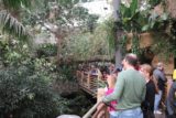 Dallas_194_03192016 - Lots of people on the upper walkway taking in the re-created ecosystem as well as the captive wildlife