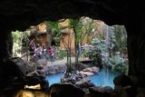 Dallas_320_03192016 - Looking out of the closed Madagascar exhibit towards the outdoor penguin exhibit at the DWA