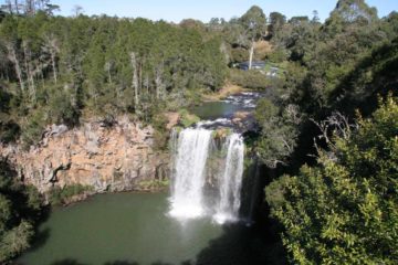 Dangar Falls was a waterfall that we didn't expect to see going into our trip in May 2008.  We happened to be aware of its existence only after making a stop at the visitor centre in the nearby...