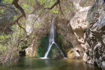 Darwin Falls epitomized what was perhaps one of the great paradoxes when it comes to waterfalling in California.  Sitting within the boundaries of Death Valley National Park, which was known as...