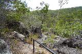 Davies_Creek_Falls_023_06262022 - The spur trail going down to the lookout for Davies Creek Falls